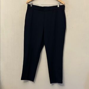 Hilary Radley navy blue pull on pants Size L EUC